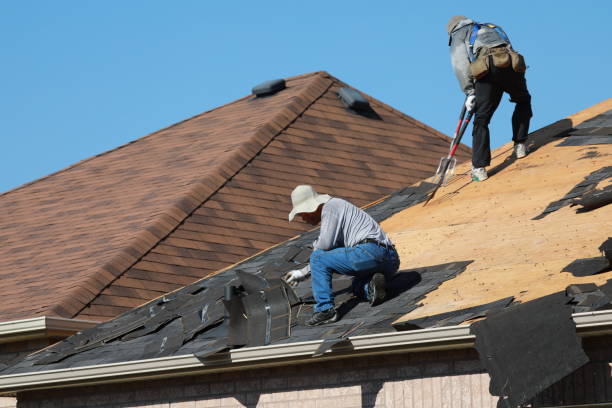 Best Sheet Metal Roofing  in New Bern, NC