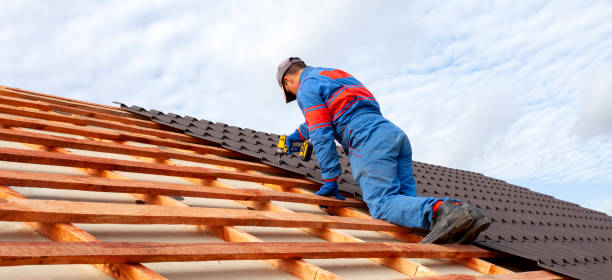 Best Gutter Installation and Repair  in New Bern, NC