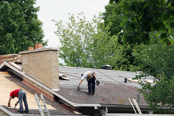 Best Storm Damage Roof Repair  in New Bern, NC