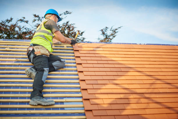Professional Roofing services in New Bern, NC